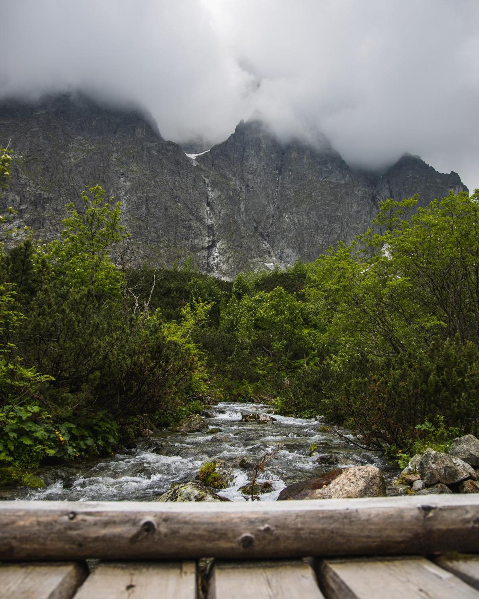 Apartmany Lesy A Luky - V Srdci Tatier Vysoke Tatry Exterior photo